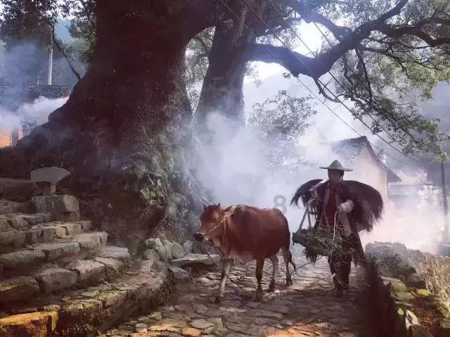 星界边境