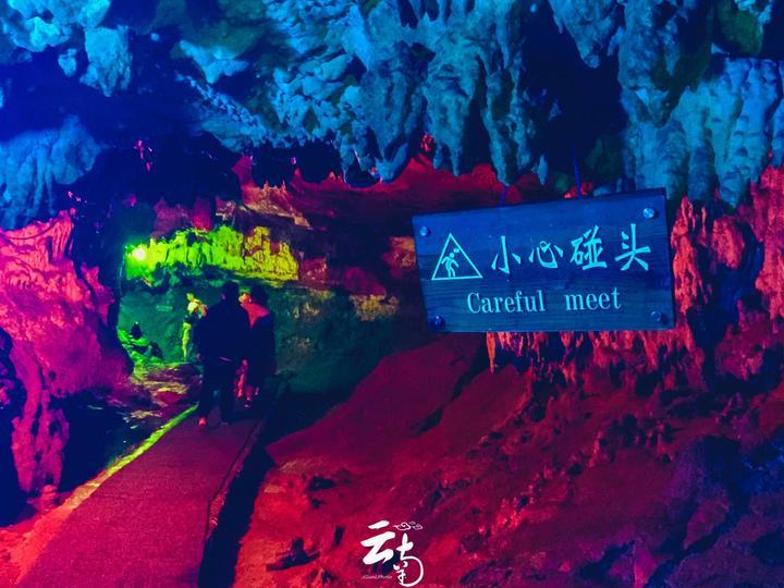 适合饲养的鲨鱼品种有哪些?