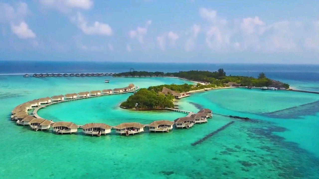 龙虎山法术培训班游戏画面