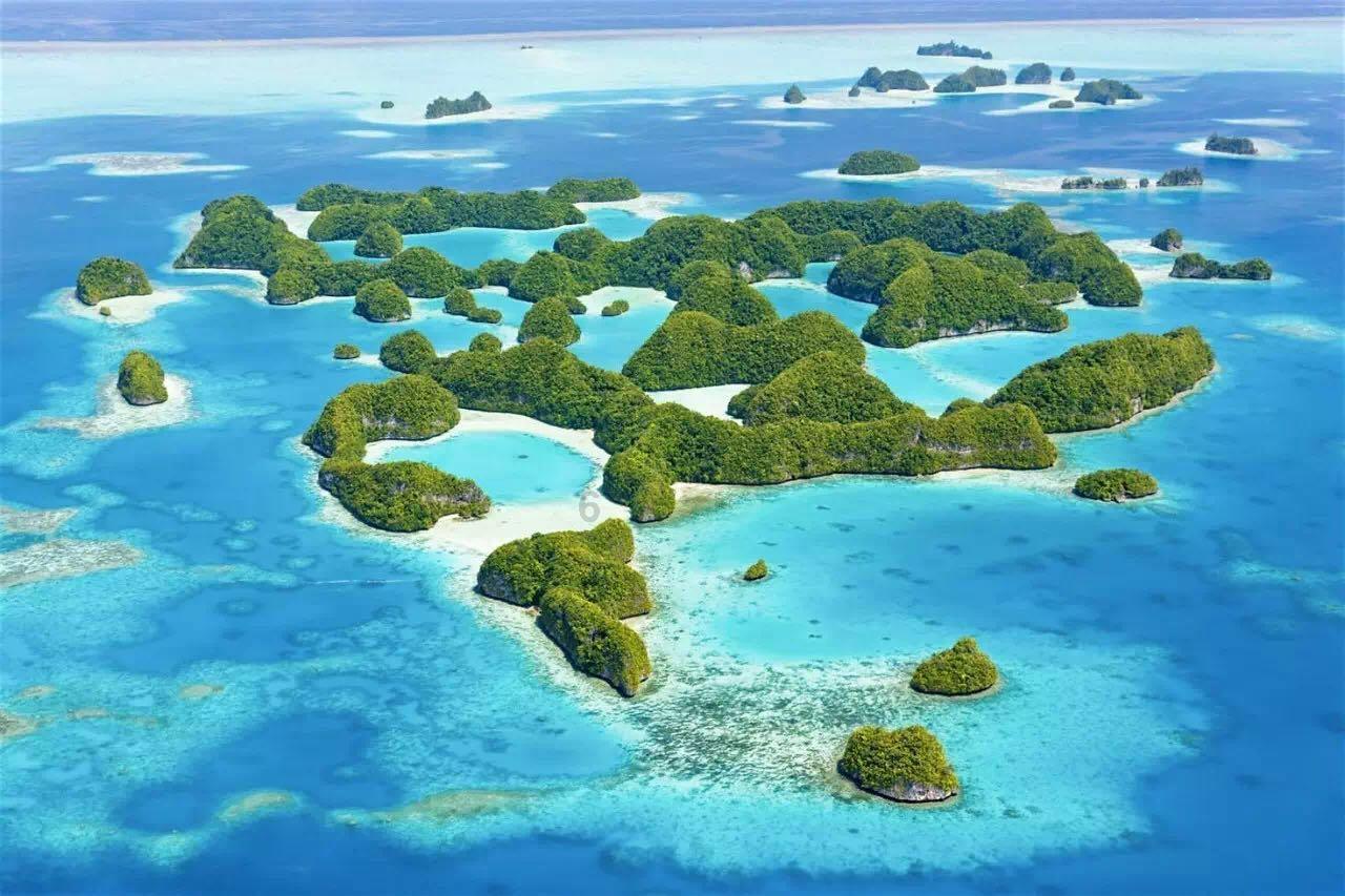 这个时段,这些区域,禁飞!