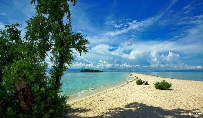 “天然补脑果”大量上市,10元3斤,每天吃一点,脸色红润气血好