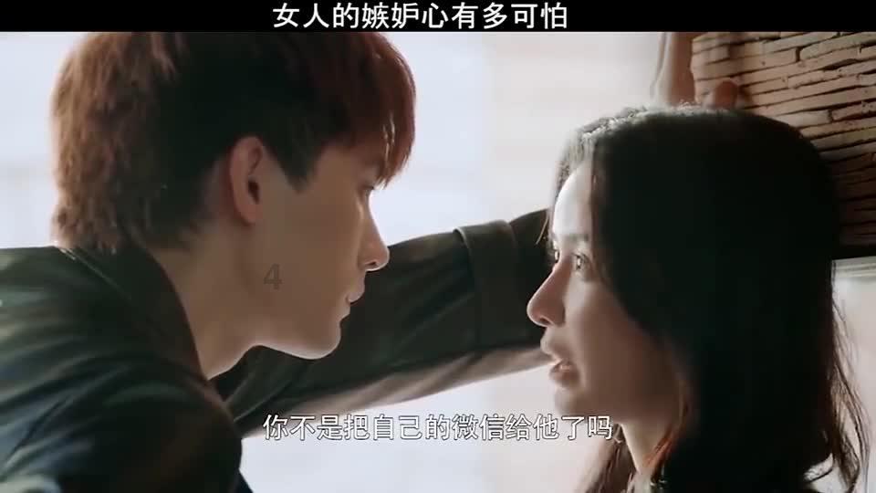 小猫钓鱼开船版最新版下载
