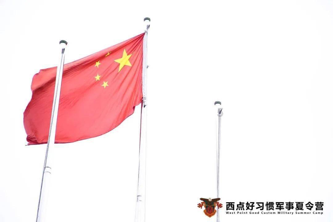 QQ企鹅