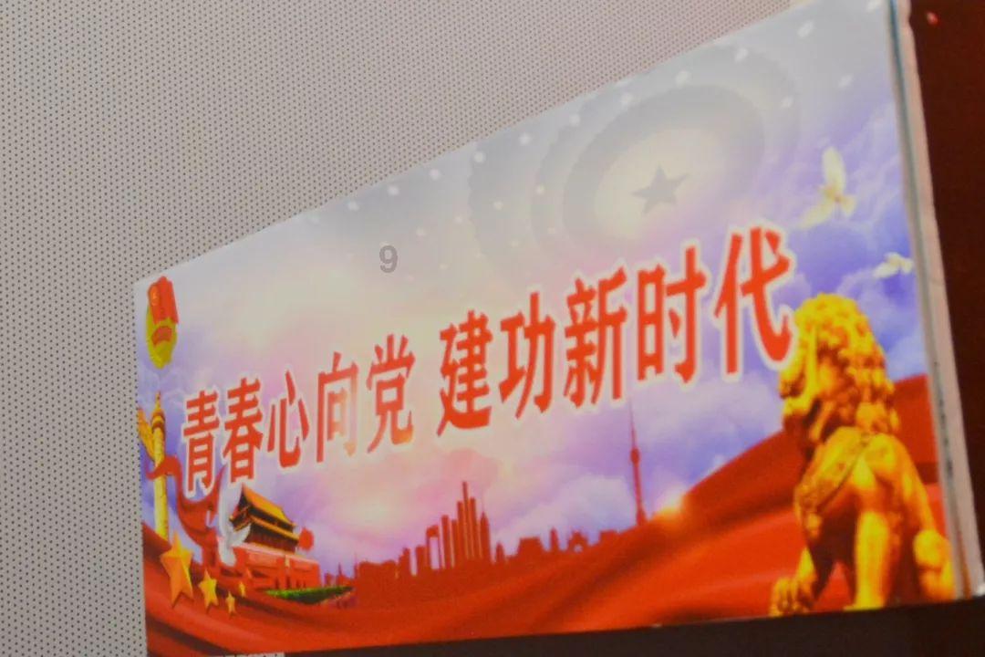 虫虫助手下载