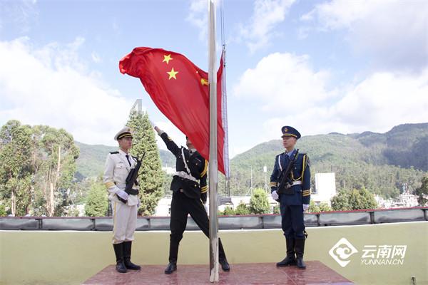 解救金刚鹦鹉