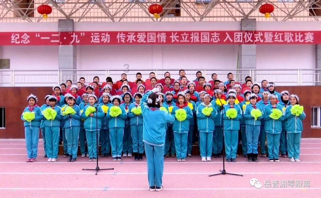 天鹅森林逃脱