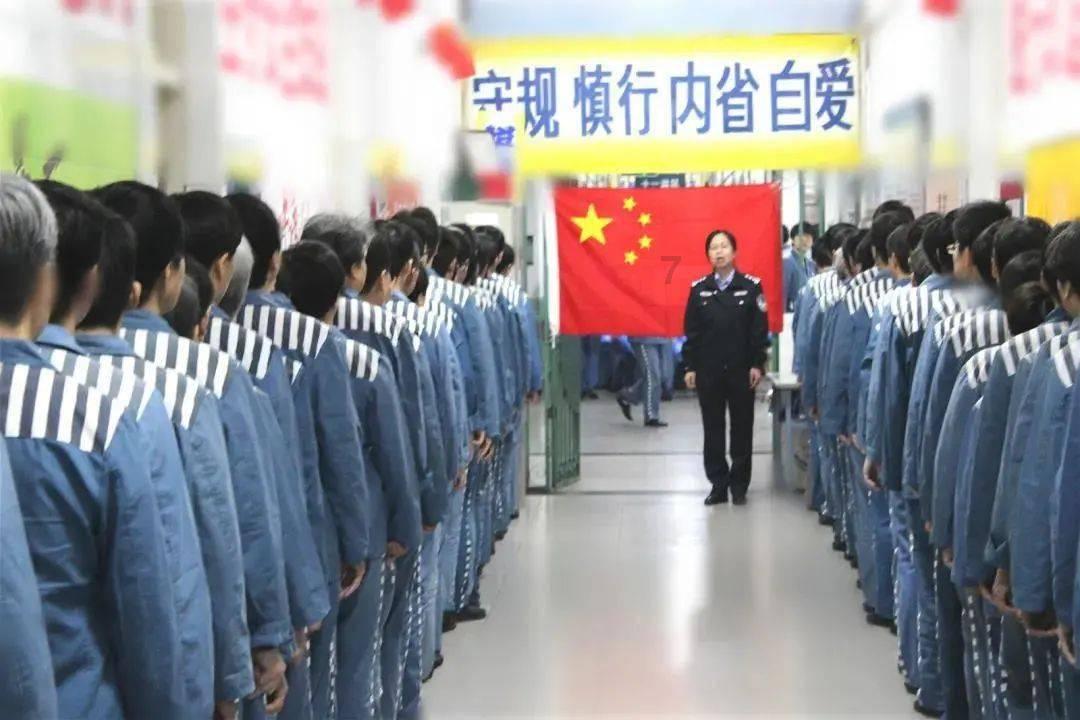 拯救精灵的土地5