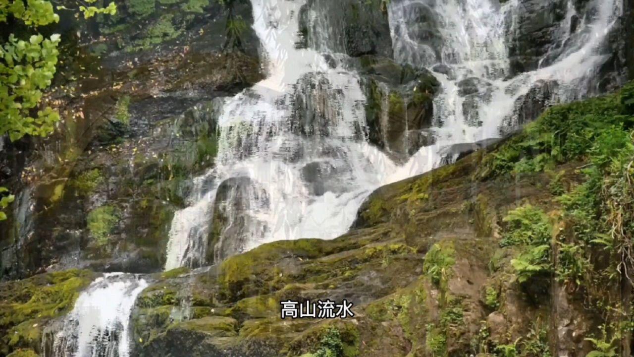 拯救精灵的土地5