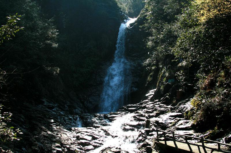 济南肝病医生田飞怎么样?在哪里坐诊?