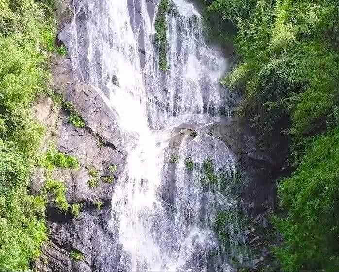 小汪汪