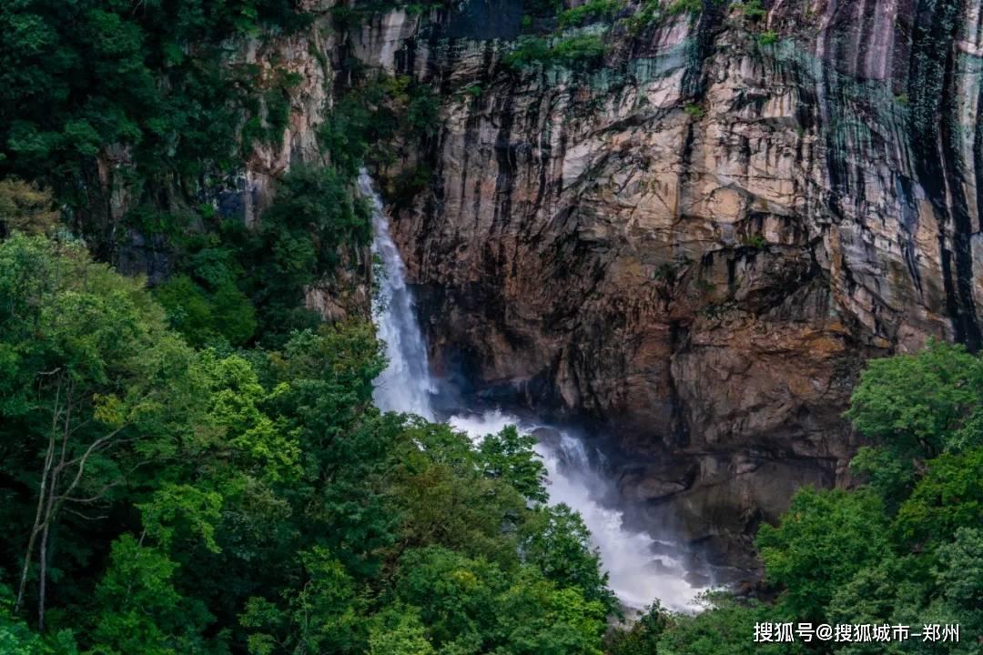 小猫钓鱼正版下载中文版