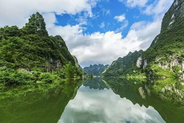 这是什么鸟？喜鹊吗？游戏画面