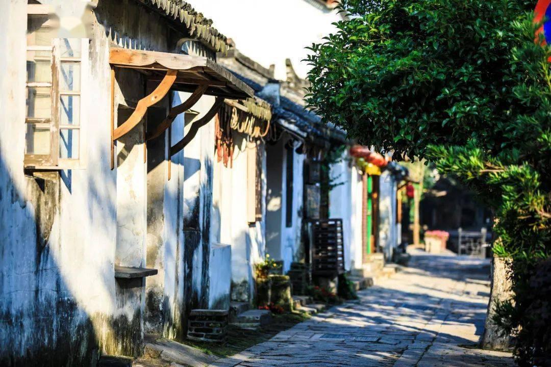 紫色系