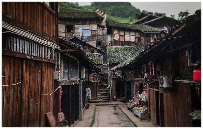 助力东西部协作,滇菜入沪再推新举措