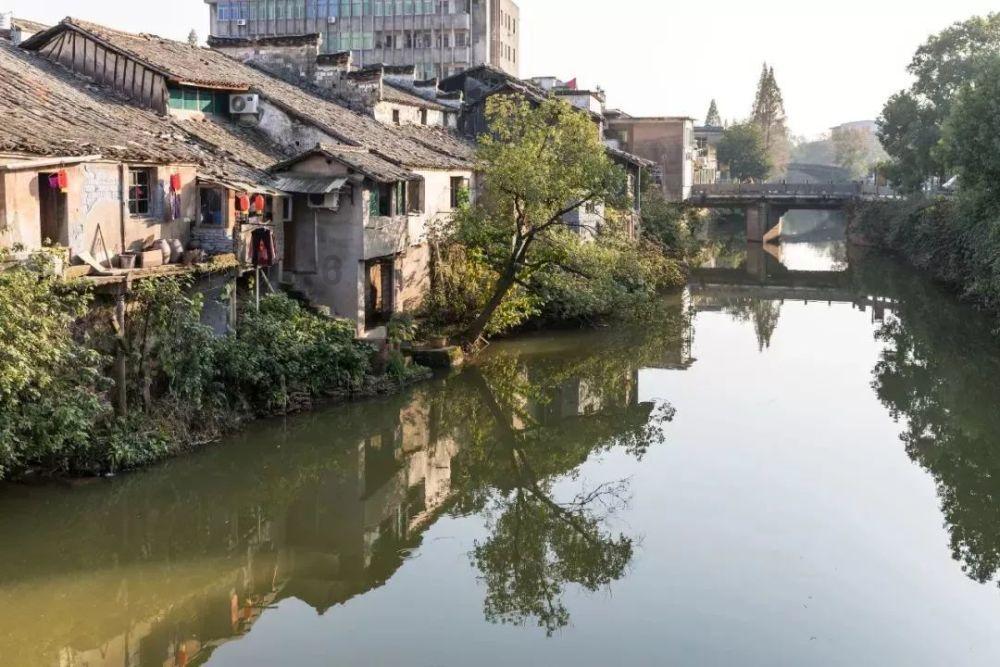 张雨绮吐槽哇唧唧哇，你对哇唧唧哇如何评价？游戏画面
