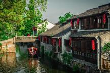 组装机械恐龙3